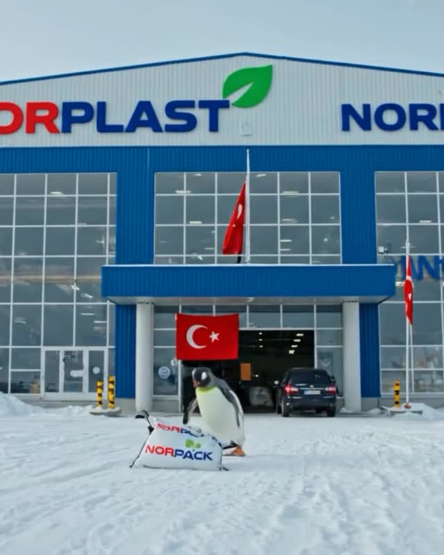 Norplast Instagram